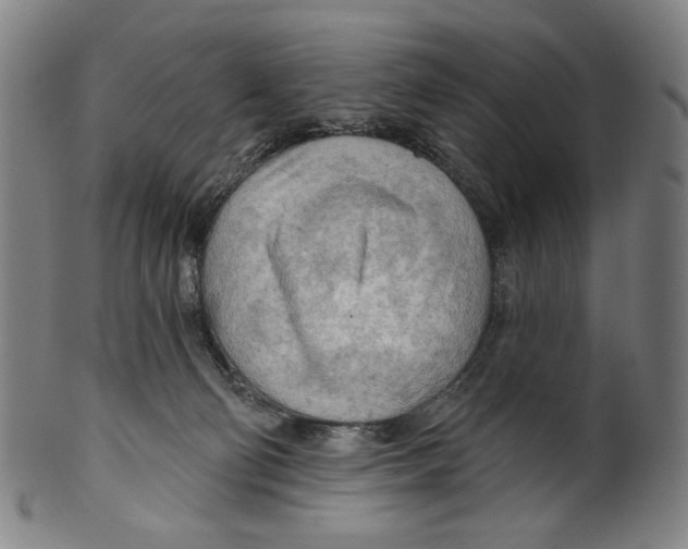 X0000099420130200806061004