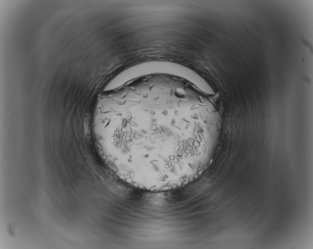 X0000099420131200806061004