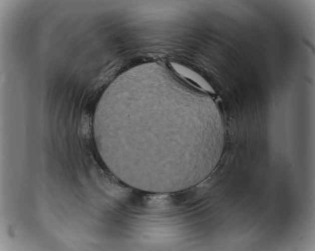 X0000099420132200806061004