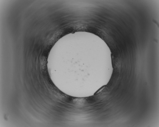 X0000099420133200806061004