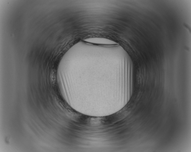X0000099420134200806061004