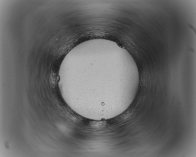X0000099420135200806061004