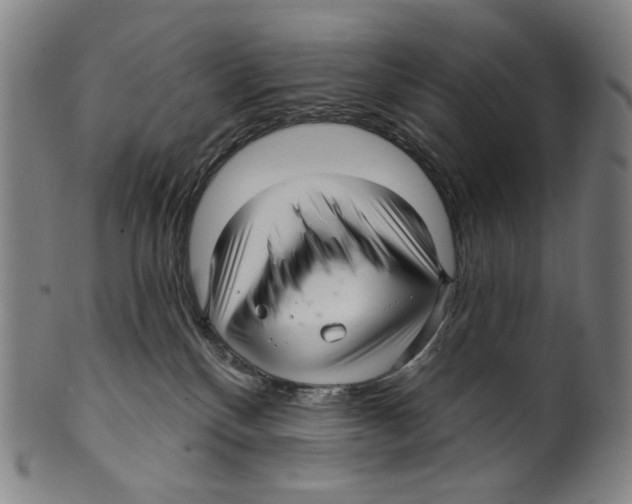 X0000099420136200806061004