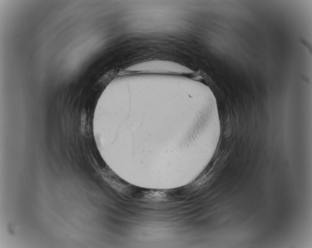 X0000099420140200806061004