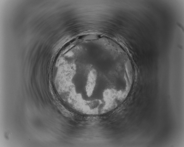 X0000099420145200806061003