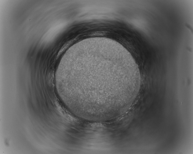 X0000099420146200806061003