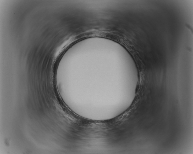 X0000099420150200806061003