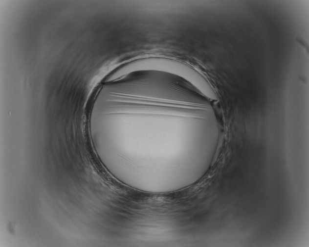 X0000099420152200806061003