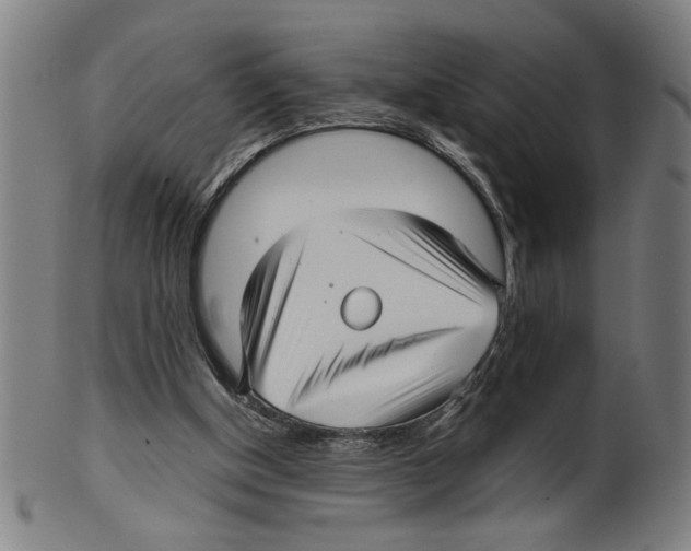 X0000099420154200806061003