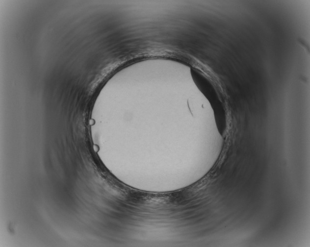 X0000099420155200806061003
