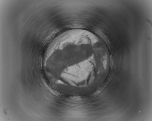 X0000099420157200806061003