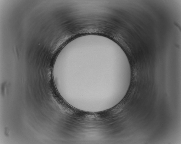X0000099420160200806061003