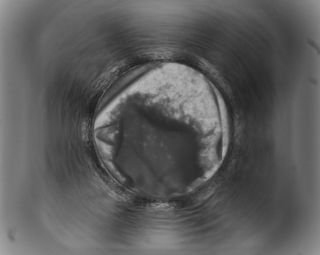 X0000099420161200806061003