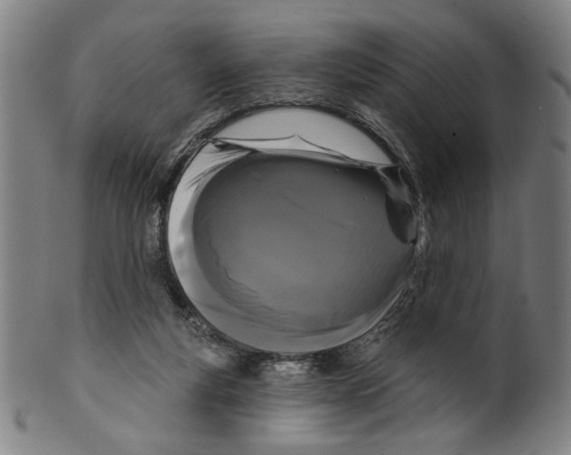 X0000099420163200806061003