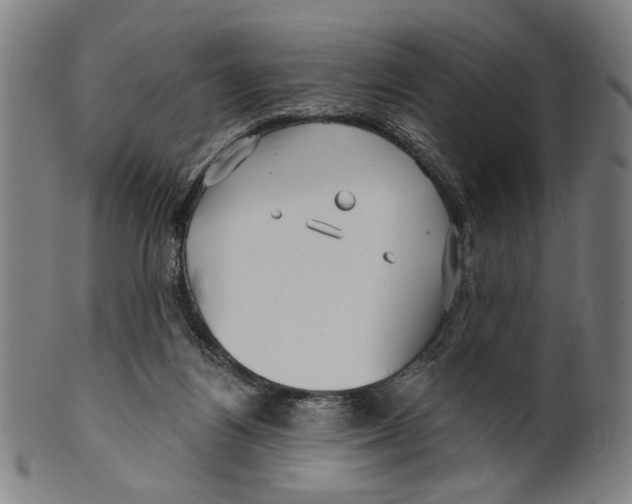 X0000099420164200806061003