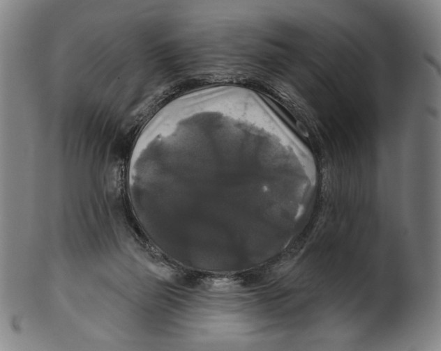 X0000099420165200806061003