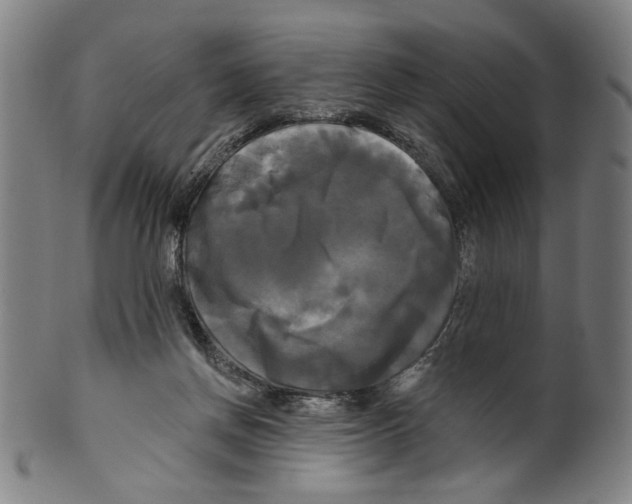X0000099420166200806061003