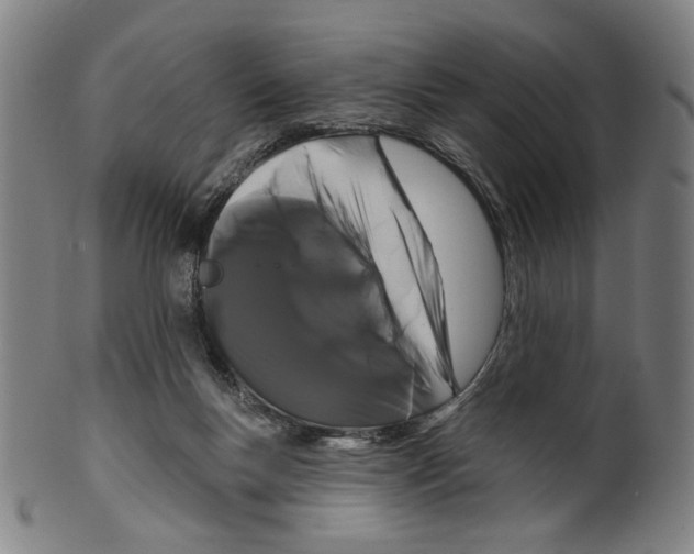 X0000099420167200806061003