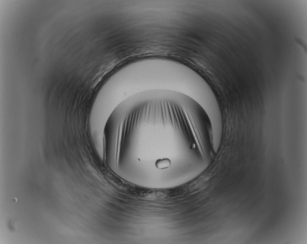 X0000099420168200806061003