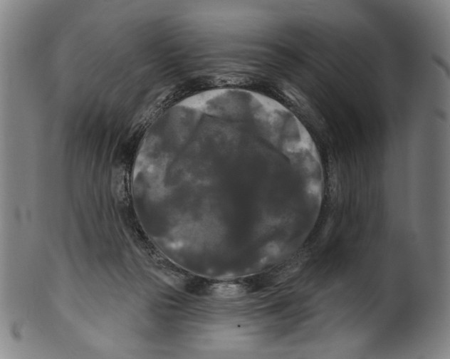 X0000099420169200806061003