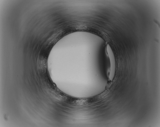 X0000099420172200806061003