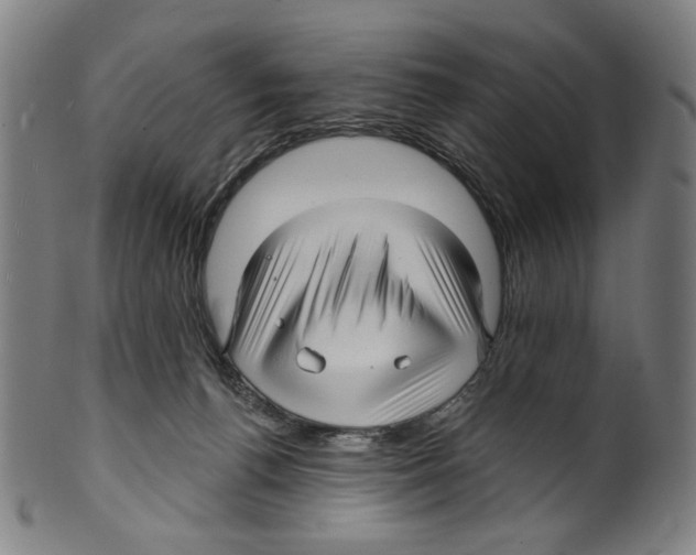 X0000099420176200806061004