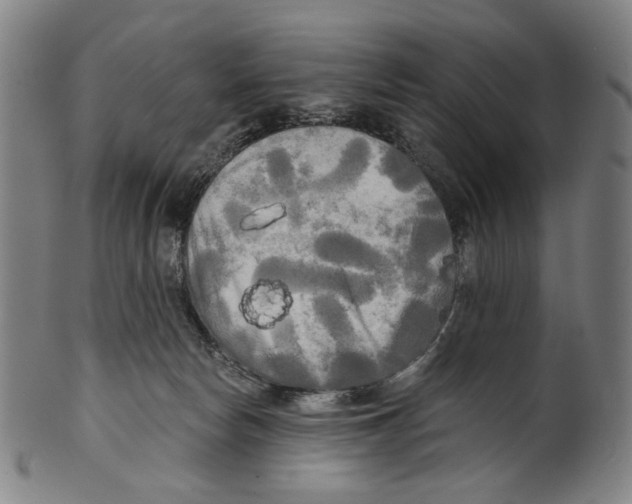 X0000099420178200806061004