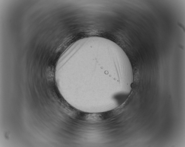 X0000099420179200806061004