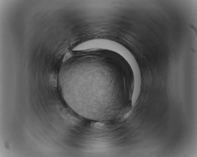 X0000099420180200806061004