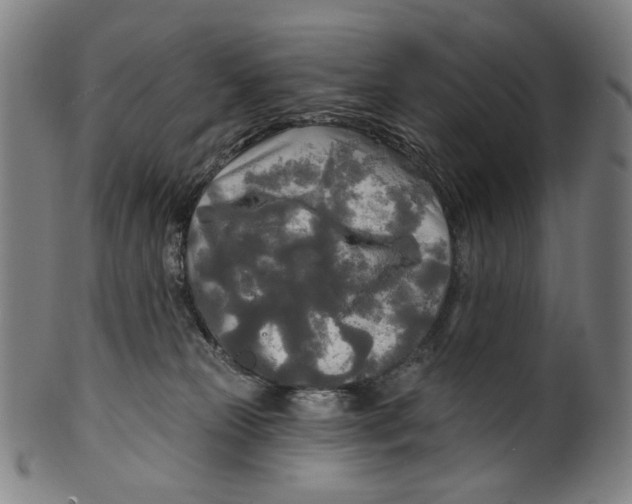X0000099420181200806061004