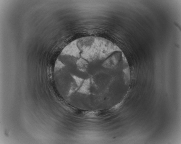 X0000099420182200806061004