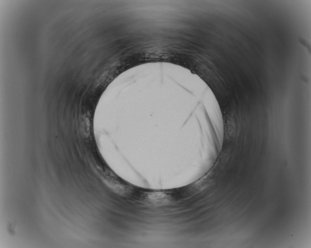 X0000099420183200806061004