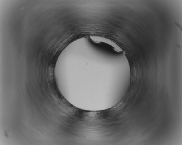 X0000099420184200806061004