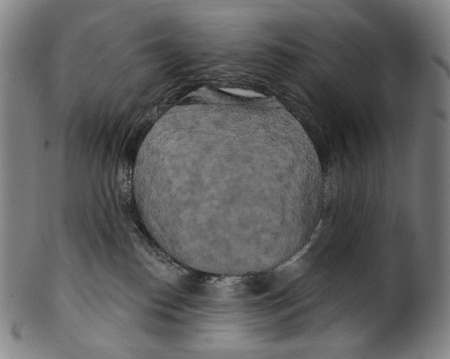 X0000099420186200806061004