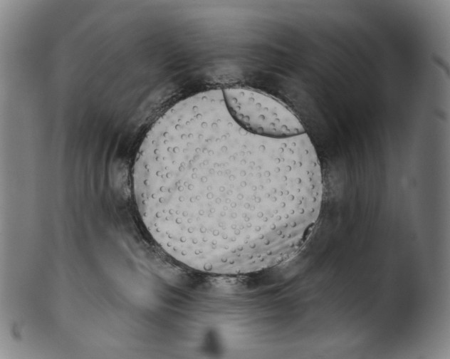X0000099420187200806061004