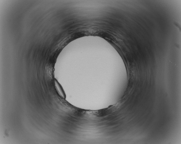 X0000099420188200806061004