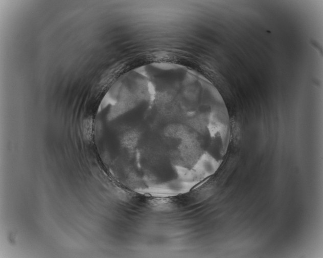 X0000099420189200806061004
