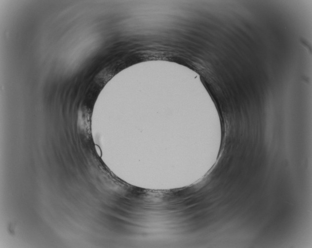 X0000099420190200806061004