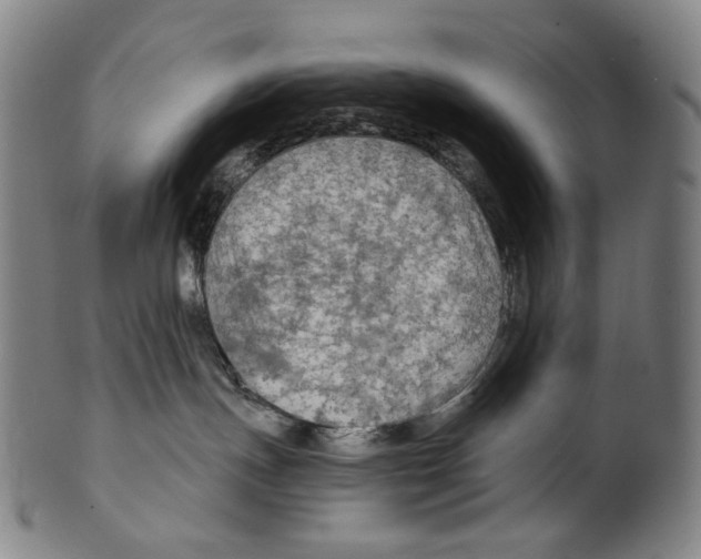 X0000099420191200806061004