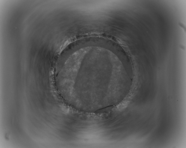 X0000099420192200806061004