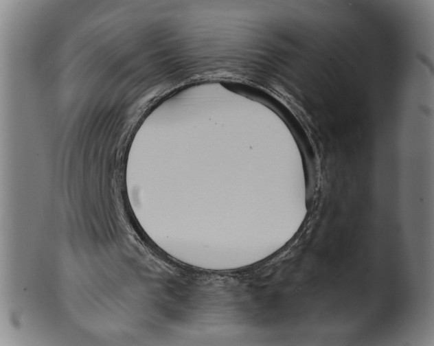 X0000099420193200806061003