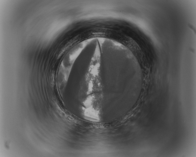 X0000099420194200806061003