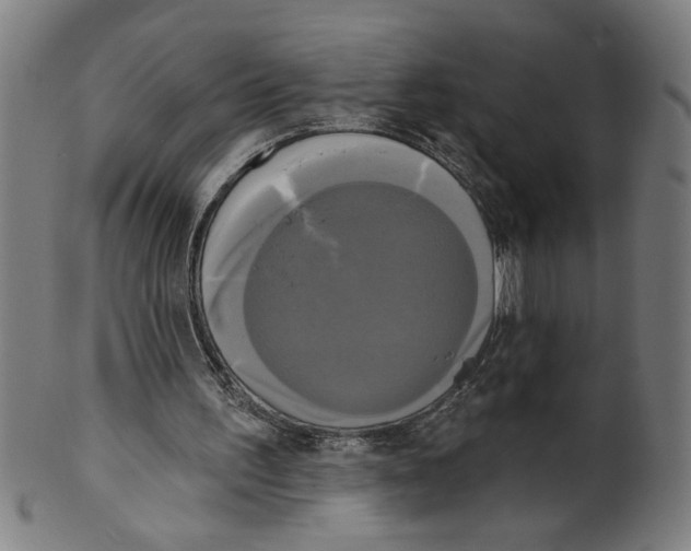 X0000099420195200806061003