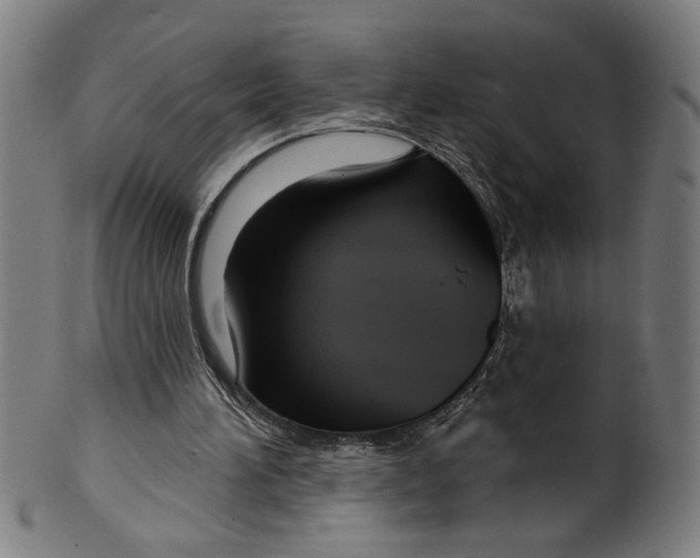 X0000099420196200806061003