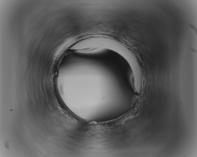 X0000099420197200806061003