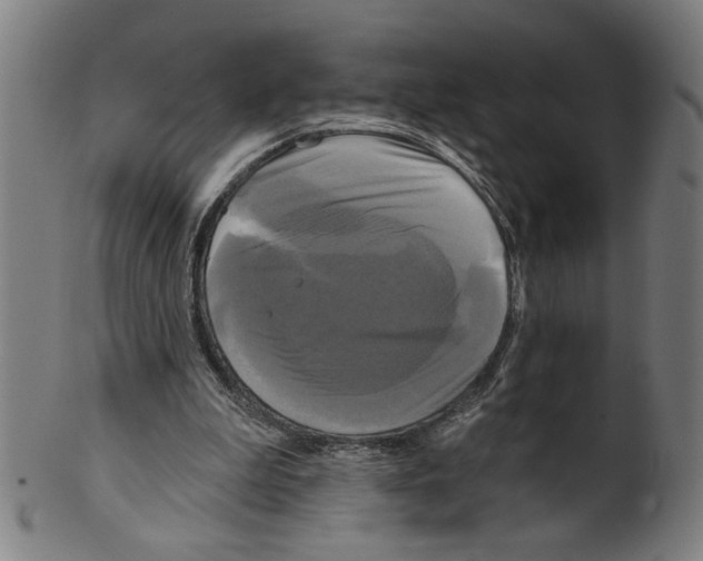 X0000099420199200806061003