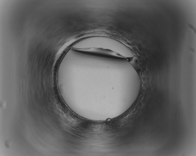 X0000099420200200806061003