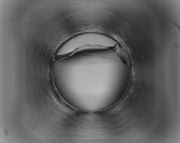 X0000099420201200806061003