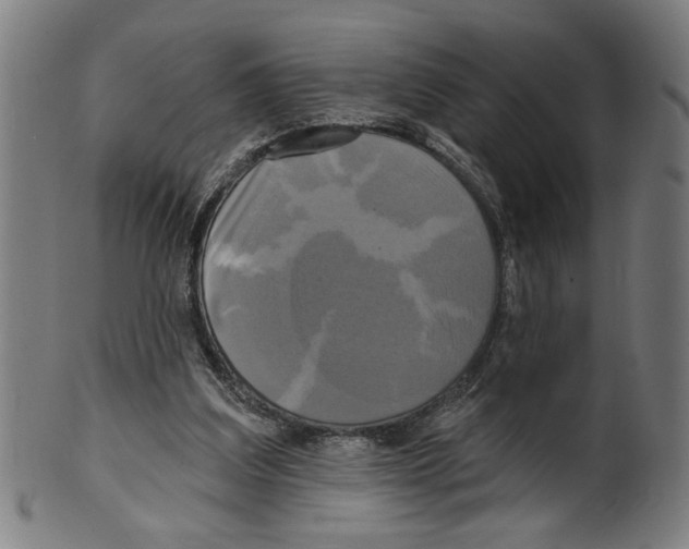 X0000099420203200806061003