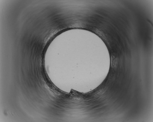 X0000099420204200806061003